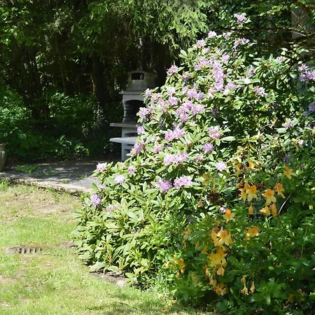 Le Moulin De Chatillon Saint-Leger Exterior foto